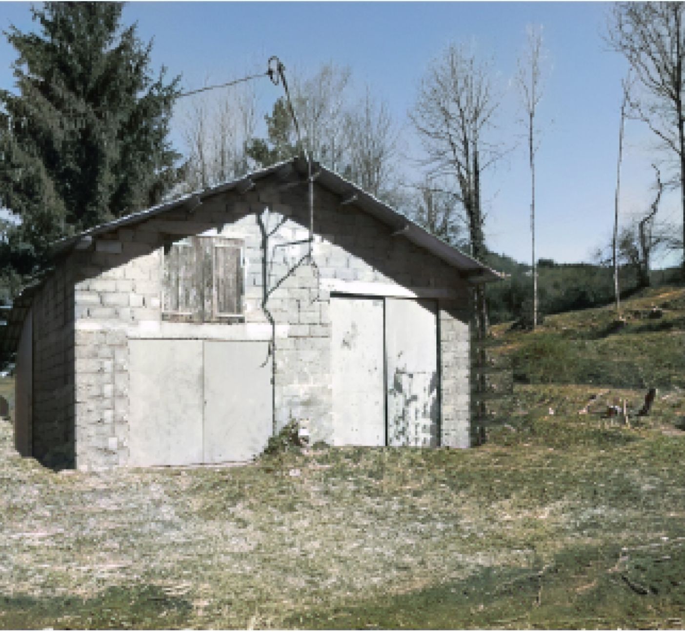 Création de l’entreprise CARMINATI-PELLEGRINI